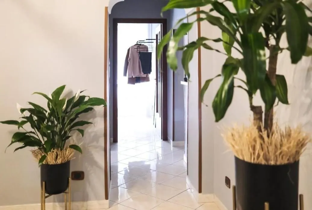 Peppe Triple Rooms Napoli Centro Italy
